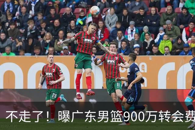 不走了！曝广东男篮900万转会费签下昔日状元内线，杜锋拒绝摆烂